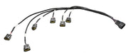 Wiring Specialties Wiring Specialties Ignition Coil Wiring Harnesses WRS-RB25S2PRO-COIL Autofit