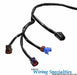 Wiring Specialties Wiring Specialties OEM Series Fuel Injection System Wiring Harnesses WOKAS13MAIN Autofit