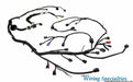 Wiring Specialties Wiring Specialties OEM Series Fuel Injection System Wiring Harnesses WOKAS13MAIN Autofit