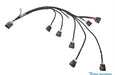 Wiring Specialties Wiring Specialties Pro Series Coil Pack Harnesses RB26PRO-COIL Autofit
