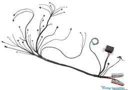 Wiring Specialties Wiring Specialties Pro Series LS1 Engine Wiring Harnesses WPLS1UF4L80 Autofit