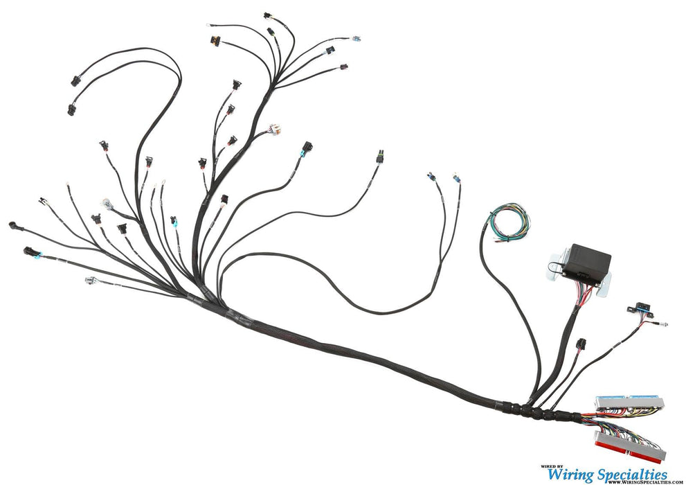 Wiring Specialties Wiring Specialties Pro Series LS1 Engine Wiring Harnesses WPLS1UFT56 Autofit