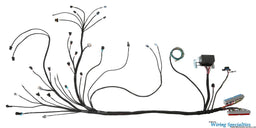 Wiring Specialties Wiring Specialties Pro Series LS1 Engine Wiring Harnesses WPLS1UVF4L60 Autofit