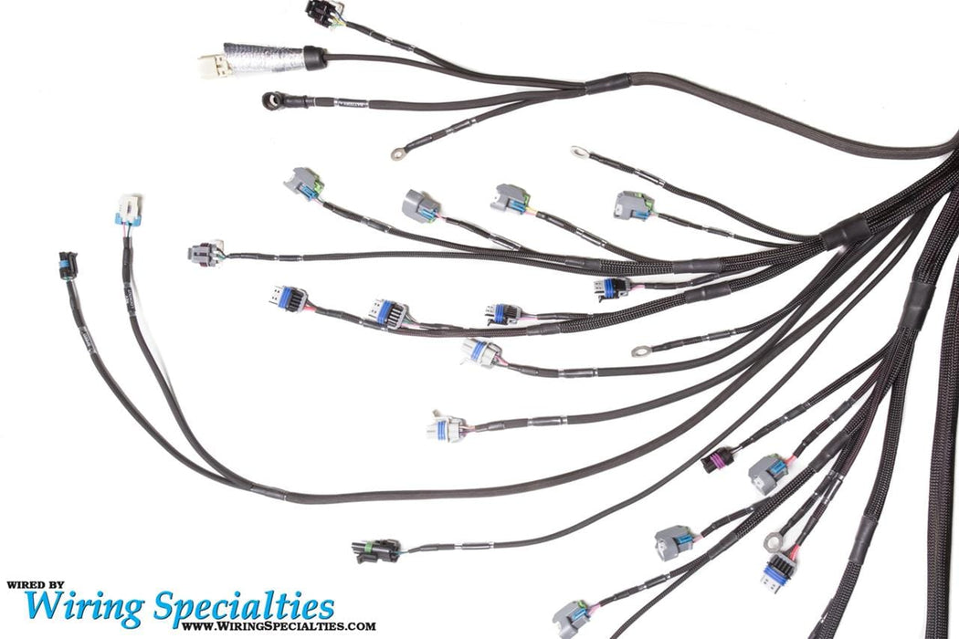 Wiring Specialties Wiring Specialties Pro Series LS2 Drive-by-Wire Engine Wiring Harnesses WPLS2UGT56CP Autofit