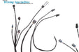 Wiring Specialties Wiring Specialties Pro Series LS2 Drive-by-Wire Engine Wiring Harnesses WPLS2UGT56CP Autofit