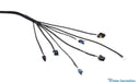 Wiring Specialties Wiring Specialties Pro Series Vortec Engine Wiring Harnesses WPVRTUVT4L80 Autofit