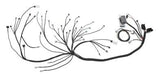 Wiring Specialties Wiring Specialties Pro Series Wiring Harnesses WRS-PROLY6-UNI-4L60E Autofit