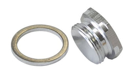 Aeroflow Performance Silver finish, 7/8"-20 Holley Fuel Bowl Inlet Blank Plug AF700-00S Autofit