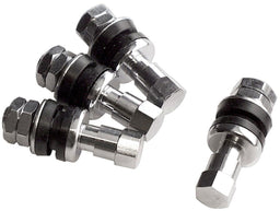 BILLET 4-pack Bolt-in Valve Stems - Chrome BS999900 Autofit