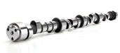 COMP Custom Hydrualic Roller Camshaft, 220/227 Dur @ .050" CO01-000-8 Autofit