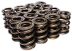COMP Dual Vlave Spring Set 1.660" O.D, 236-671@2.000" .750" Lift CO959-16 Autofit