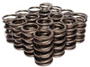 COMP Installed: 133 @ 1.900", Open: 332 @ 1.300", Rate: 333 lbs., Coil Bin Dual Valve Spring Set 1.464" O.D CO950-16 Autofit
