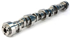 COMP Suit Big Block Chevy 1965 - 96 Thumpr Retro - Fit Hydraulic Camshaft - 299THR7 CO11-602-8 Autofit
