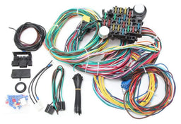 EZWIRING 21 Circuit With Standard Fuses & Fuse Panel Complete Wiring Harness EZ21 Autofit