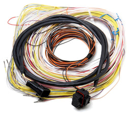 Holley Auxiliary Harness - J2A Connector Autofit