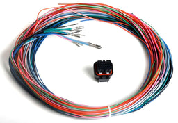 Holley Auxiliary Harness - J2B Connector Autofit