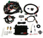 HOLLEY Suit GM TPI & Holley Stealth Ram HP EFI ECU & Harness Kit HO550-601 Autofit