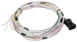 HOLLEY Suit HP & Dominator EFI Auxiliary Harness - J1A/B Input/Output HO558-400 Autofit