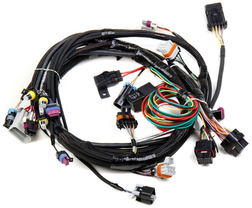 HOLLEY Suit HP & Dominator EFI With 24x Crank Sensor LS1/LS6 Main Wiring Harness HO558-102 Autofit