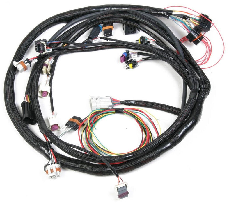 HOLLEY Suit HP & Dominator EFI With 58x Crank Sensor LS2/LS7 Main Wiring Harness HO558-103 Autofit