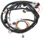 HOLLEY Suit HP & Dominator EFI With 58x Crank Sensor LS2/LS7 Main Wiring Harness HO558-103 Autofit