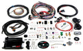 HOLLEY Unterminated Universal Harness HP EFI ECU & Harness Kit HO550-605 Autofit