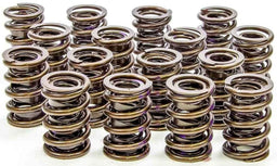 ISKY 135LBS @ 1.812" Seat Pressure, 315LBS @ 1.260" Open Pressure, 1.120" Dual Valve Springs with Damper (Set) 1.430" OD ISK6105 Autofit