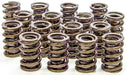 ISKY 140LBS @ 1.900" Seat Pressure, 430LBS @ 1.250" Open Pressure, 1.170" Dual Valve Springs with Damper (Set) 1.530" OD ISK8205 Autofit