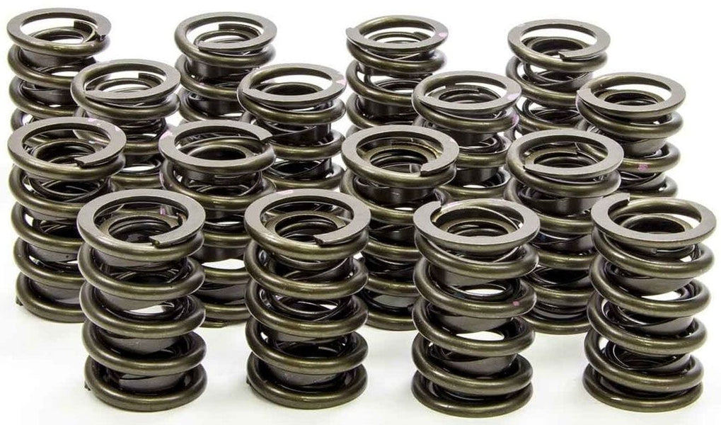 Valve Springs with Damper | SP Valve Springs | Automotive Fittings ...
