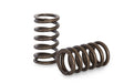 Kelford Cams 4G63 DOHC VR4-EVO 7 Spring Set 4G63 DOHC VR4-EVO 7 Spring Set Autofit