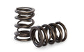 Kelford Cams Ford | Nissan | Toyota | Pacaloy Dual Springs Ford | Nissan | Toyota | Pacaloy Dual Springs Autofit