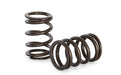Kelford Cams Formula Ford Valve Spring Kit Formula Ford Valve Spring Kit Autofit