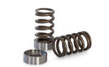 Kelford Cams Mazda B6/BP1800 Race Spring Set Mazda B6/BP1800 Race Spring Set Autofit
