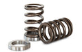 Kelford Cams Nissan RB25DET NVCS Race Spring Set Nissan RB25DET NVCS Race Spring Set Autofit