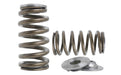 Kelford Cams Nissan VK56 Beehive Springs | Retainers Nissan VK56 Beehive Springs | Retainers Autofit