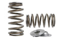 Kelford Cams Nissan VQ35 Beehive Springs | Retainer Set Nissan VQ35 Beehive Springs | Retainer Set Autofit
