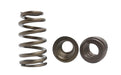 Kelford Cams Nitrided Beehive LS Race Springs Nitrided Beehive LS Race Springs Autofit