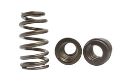 Kelford Cams Nitrided Beehive LS Race Springs Nitrided Beehive LS Race Springs Autofit