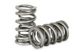 Kelford Cams PAC 1204X Premium Dual Spring x 16 PAC 1204X Premium Dual Spring x 16 Autofit