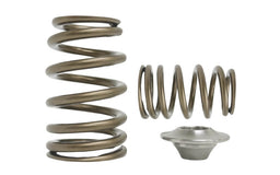 Kelford Cams SR20VE Beehive Spring | Titanium Retainers SR20VE Beehive Spring | Titanium Retainers Autofit