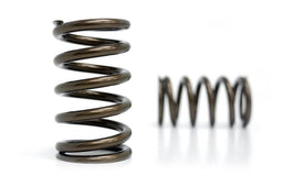 Kelford Cams Subaru EJ20/EJ25 WRX Single Spring Set Subaru EJ20/EJ25 WRX Single Spring Set Autofit