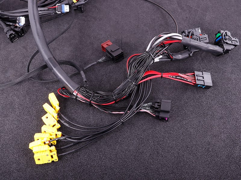 Maxx ECU Engine Management 5.7L LS1/LS6 GEN IV: 6.0L LS2 6.2/7.0 LS3/LS4/LS7/LSX/LS9 Terminated engine harness - GM LS GEN III/IV including MaxxECU RACE kit Autofit