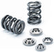 PERFSPRING Single Valve Spring Kit, 80lb. @1.510" PS3506122-16 Autofit