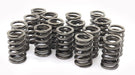 PERFSPRING Suit Mazda bp1800 Single Valve SPring Kit, 70lb@1.530" PS3506-46-16 Autofit