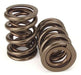 PERFSPRING Suit Mazda, Mitsubishi, Nissan 4 cyl. Dual Valve Spring Set 1.325" O.D, 95 @ 1.530 PS1006D Autofit