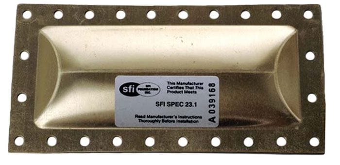 TBS SFI Rated (Each) Burst Panel B2585 Autofit