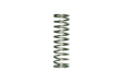 Turbosmart Turbosmart BOV Race Port 15 inHg Spring - Green BOV Race Port 15 inHg Spring - Green Autofit