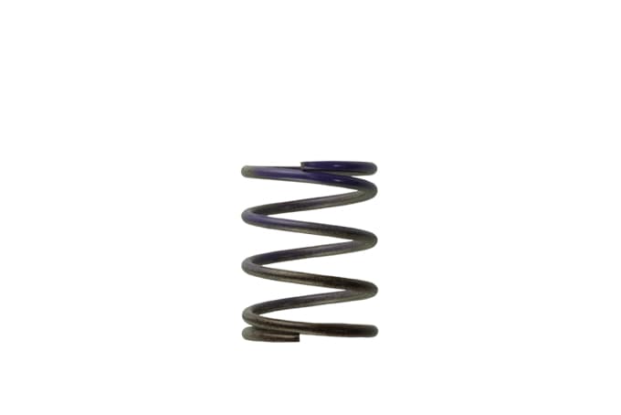Turbosmart Turbosmart Gen4 / IWG WG38/40/45/50L 7PSI MIDDLE SPRING - BROWN/PURPLE Wastegate Spring TS-0505-2003 Autofit