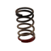 Turbosmart Turbosmart GenV WG HP 40psi Spring (Black/Red) GenV WG HP 40psi Spring (Black/Red) Autofit