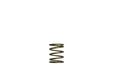 Turbosmart Turbosmart GenV WG45/50 3psi Orange Inner Spring GenV WG45/50 3psi Orange Inner Spring Autofit